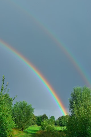 Regenbogen
pixabay.com / Kapa65 Regenbogen