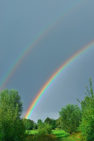Regenbogen
pixabay.com / Kapa65 Regenbogen